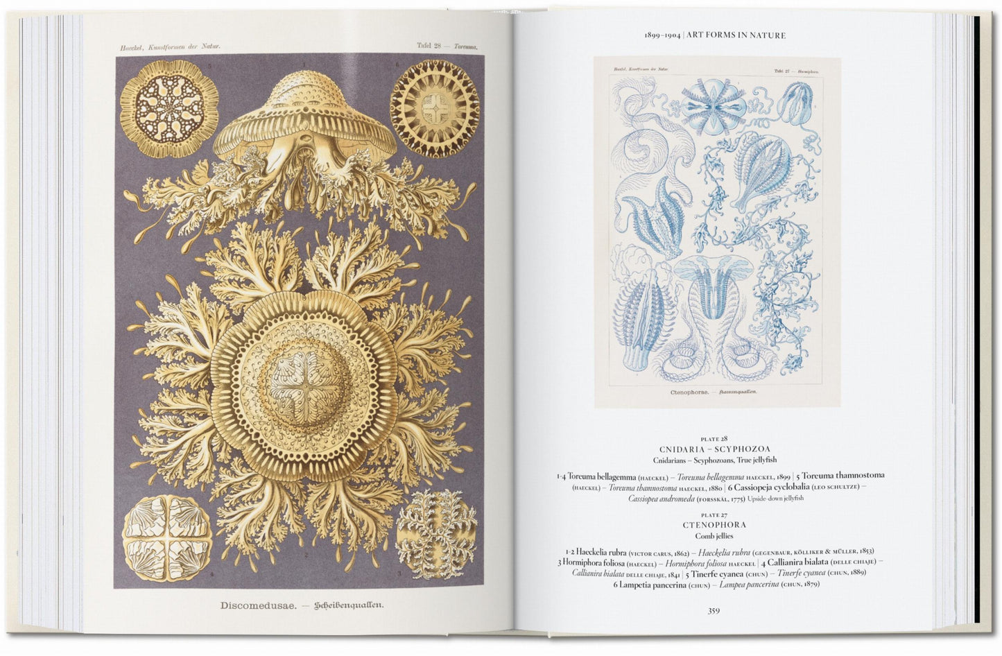 The Art and Science of Ernst Haeckel. 45th Ed. (English)