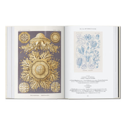 The Art and Science of Ernst Haeckel. 45th Ed. (English)