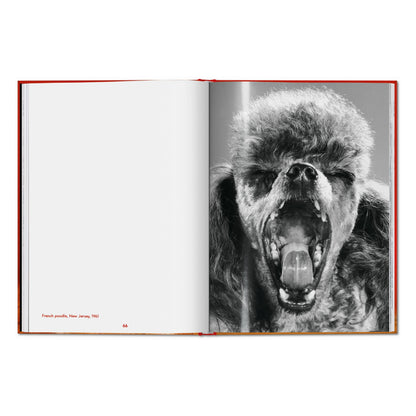 Walter Chandoha. Dogs. Photographs 1941–1991 (English)