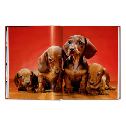 Walter Chandoha. Dogs. Photographs 1941–1991 (German, French, English)