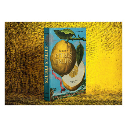 J. C. Volkamer. The Book of Citrus Fruits (German, French, English)