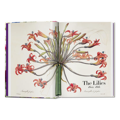 Redouté. The Book of Flowers. 45th Ed. (German, French, English)