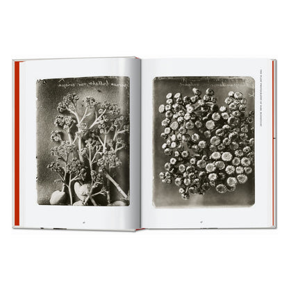Karl Blossfeldt. The Complete Published Work. 45th Ed. (German, French, English)