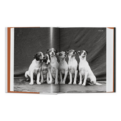 The Dog in Photography 1839–Today (German, French, English)