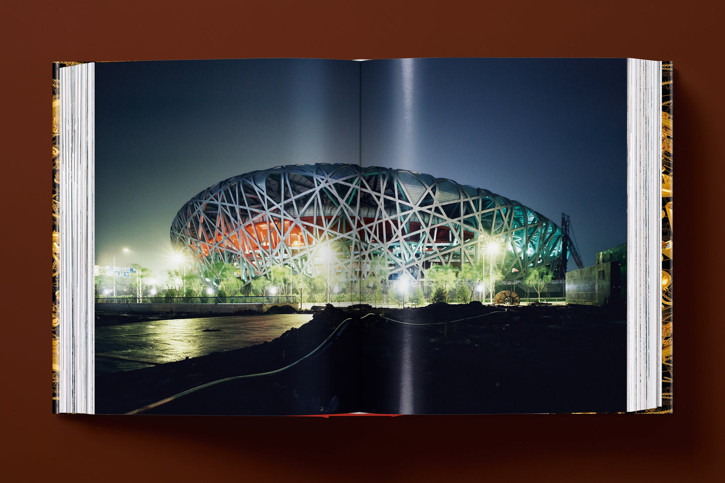 Ai Weiwei. Updated Edition (German, French, English)