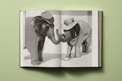 Bruce Weber. My Education (German, French, English)