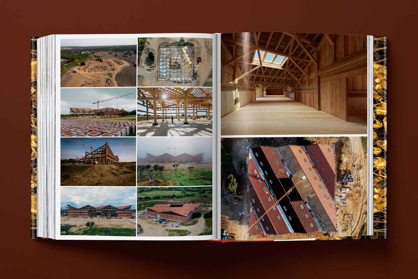 Ai Weiwei. Updated Edition (German, French, English)