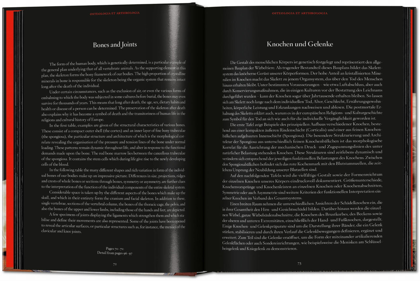 Anatomical Waxes. 45th Ed. (German, French, English)