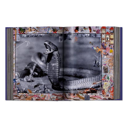 Peter Beard (German, French, English)