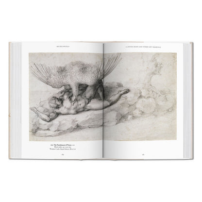 Michelangelo. The Graphic Work (English)