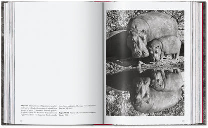 Sebastião Salgado. Genesis. 45th Ed. (English)