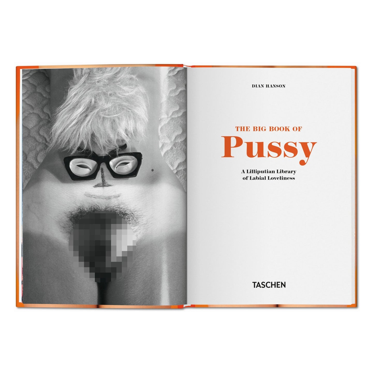 The Little Big Book of Pussy (German, French, English)