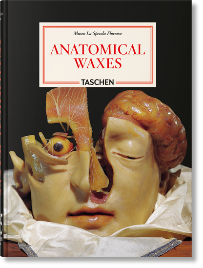 Anatomical Waxes. 45th Ed. (German, French, English)