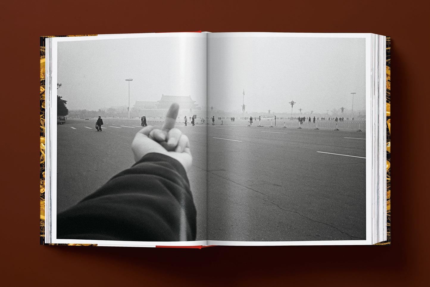 Ai Weiwei. Updated Edition (German, French, English)