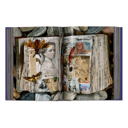 Peter Beard (German, French, English)