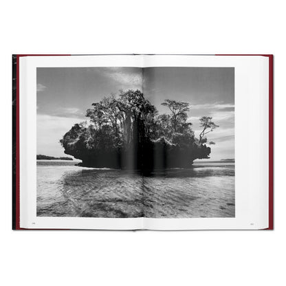 Sebastião Salgado. Genesis (English)