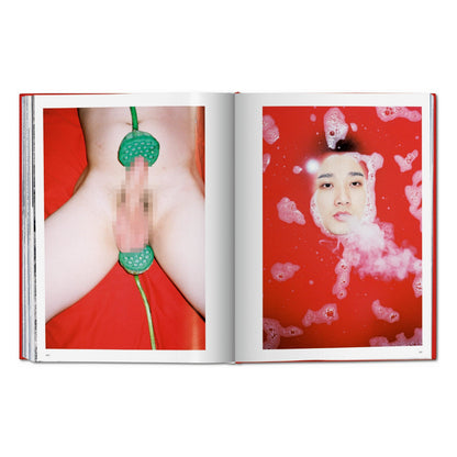 Ren Hang (German, French, English)