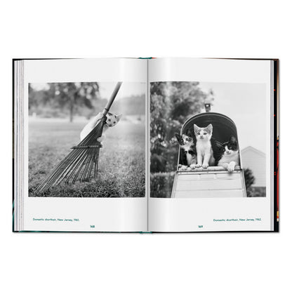 Walter Chandoha. Cats. Photographs 1942–2018 (English)