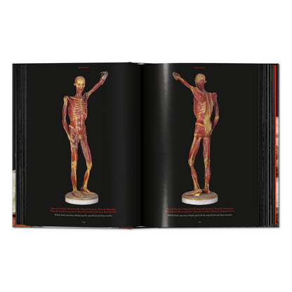 Anatomical Waxes. 45th Ed. (German, French, English)