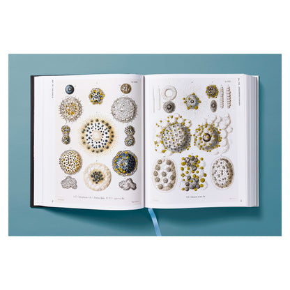 The Art and Science of Ernst Haeckel (German, French, English)
