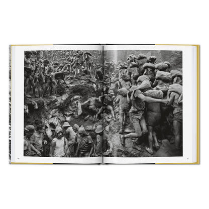 Sebastião Salgado. Gold (German, French, English)