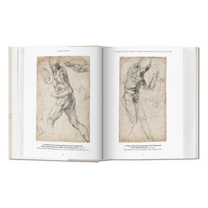 Michelangelo. The Graphic Work (English)