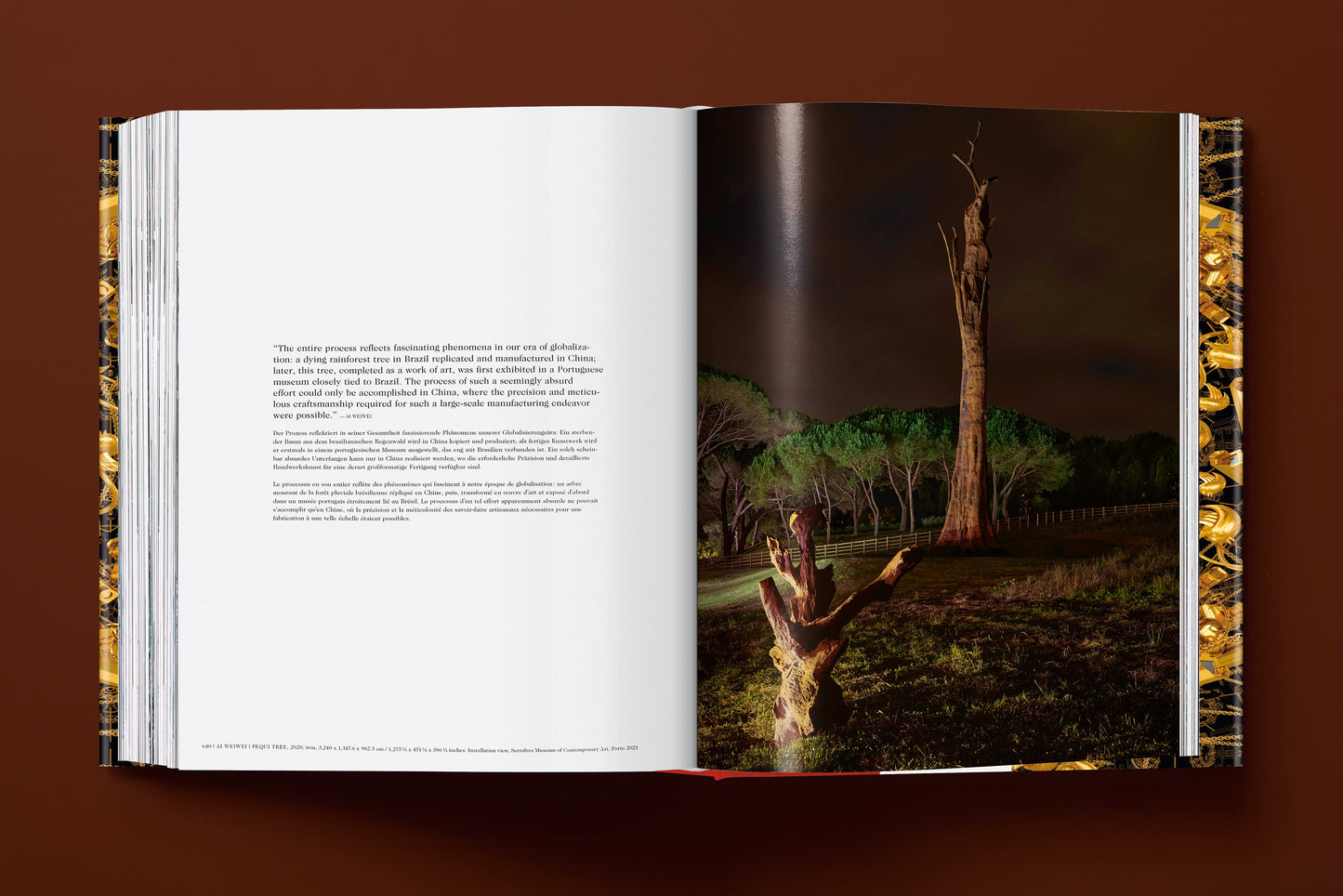 Ai Weiwei. Updated Edition (German, French, English)