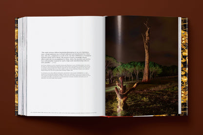 Ai Weiwei. Updated Edition (German, French, English)