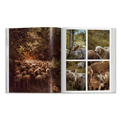 Remote Experiences. Extraordinary Travel Adventures from North to South (English)