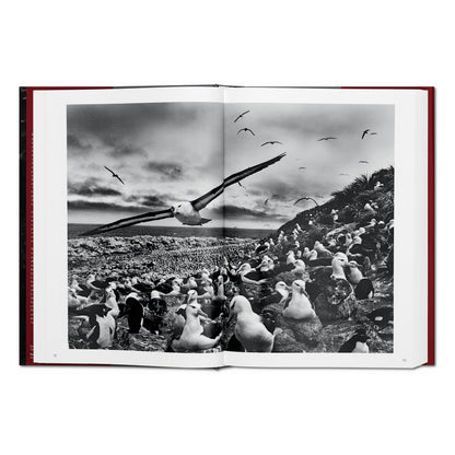 Sebastião Salgado. Genesis (English)