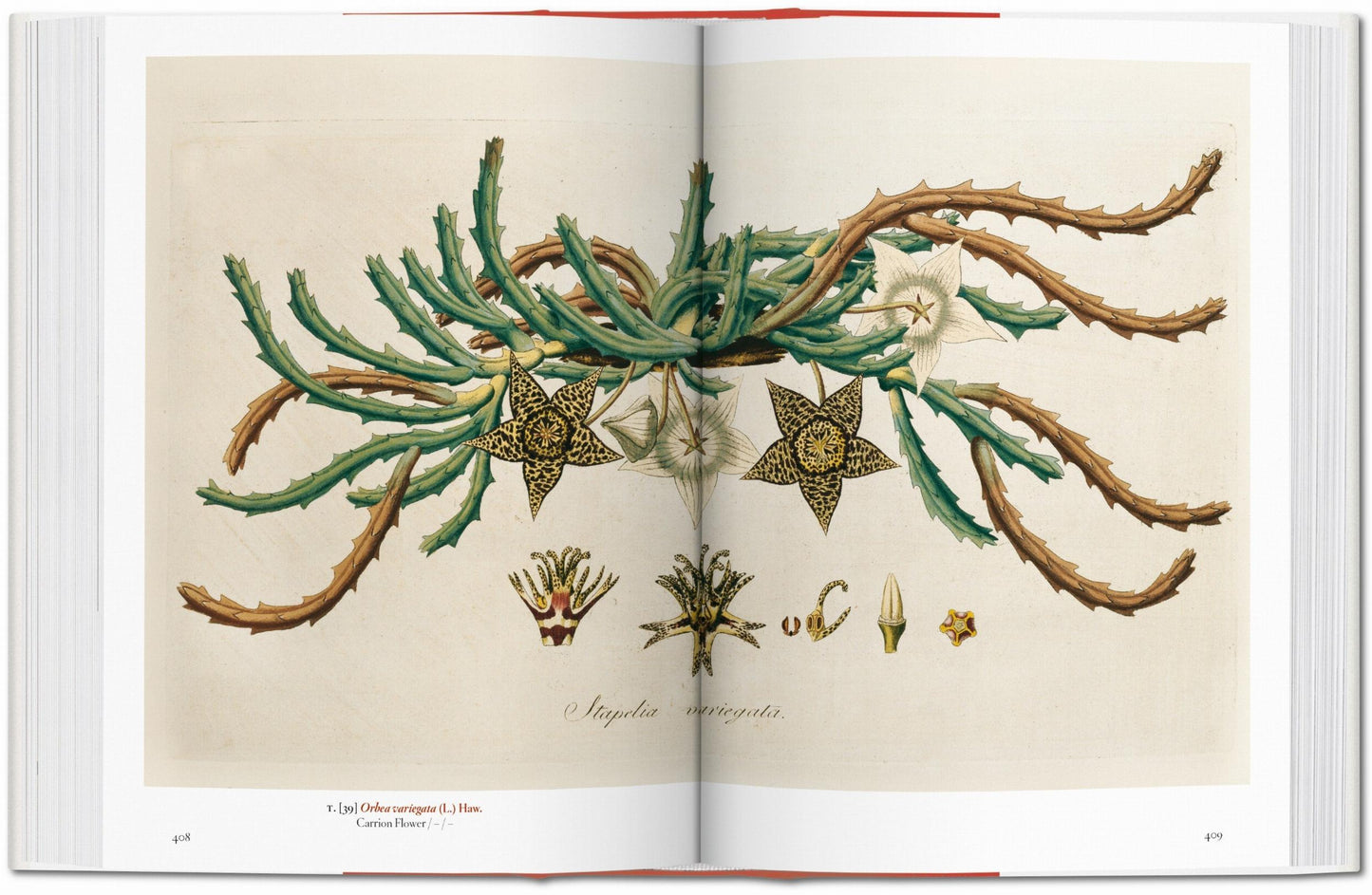 A Garden Eden. Masterpieces of Botanical Illustration. 45th Ed. (German, French, English)