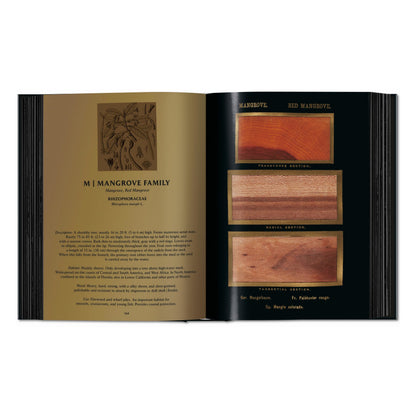Romeyn B. Hough. The Woodbook. The Complete Plates (English)