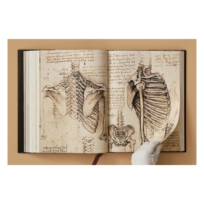 Leonardo. The Complete Paintings and Drawings (English)