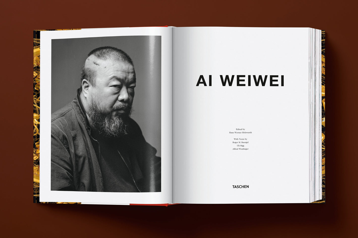 Ai Weiwei. Updated Edition (German, French, English)