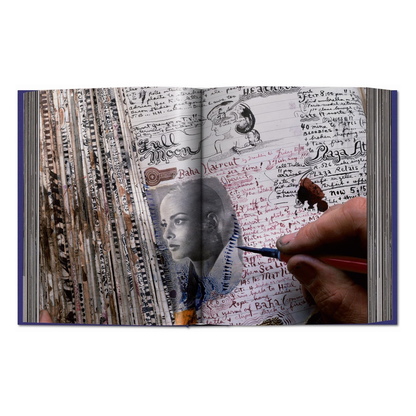 Peter Beard (German, French, English)