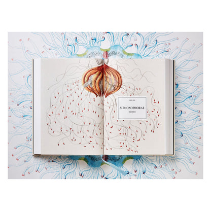The Art and Science of Ernst Haeckel (German, French, English)