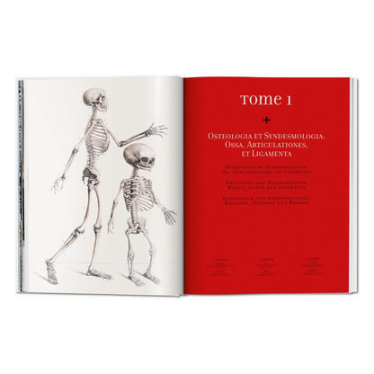 Bourgery. Atlas of Human Anatomy and Surgery (German, French, English)
