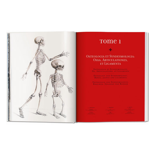 Bourgery. Atlas of Human Anatomy and Surgery (German, French, English)