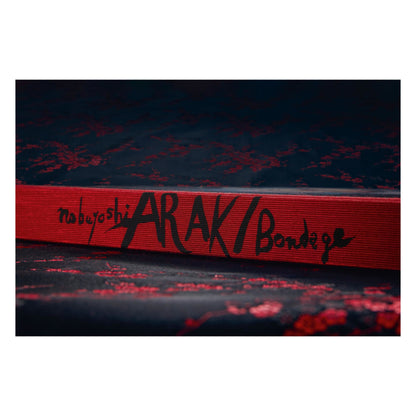 Araki. Bondage (English)