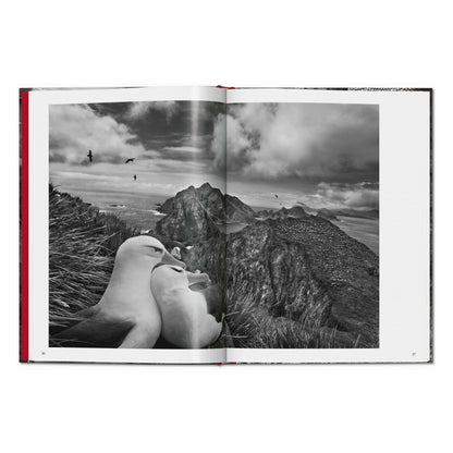 Sebastião Salgado. Genesis (English)