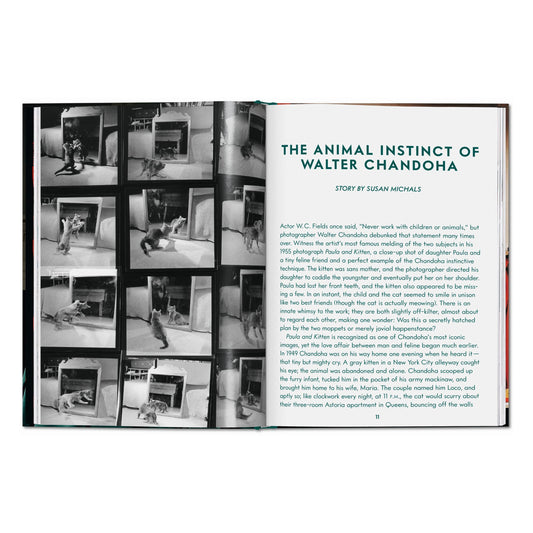 Walter Chandoha. Cats. Photographs 1942–2018 (English)