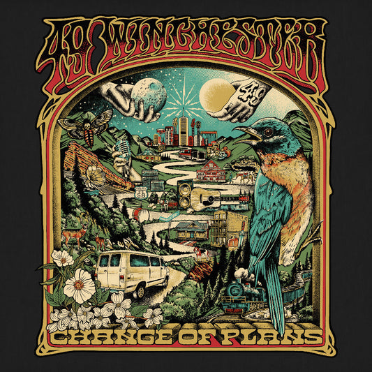 49 Winchester - Change Of Plans (VINYL) | Mint (M) Mint (M)