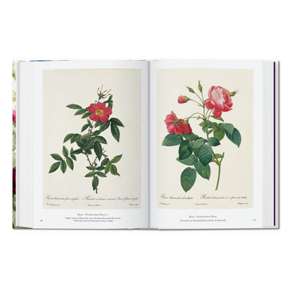 Redouté. The Book of Flowers. 45th Ed. (German, French, English)
