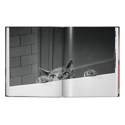 Walter Chandoha. Cats. Photographs 1942–2018 (German, French, English)