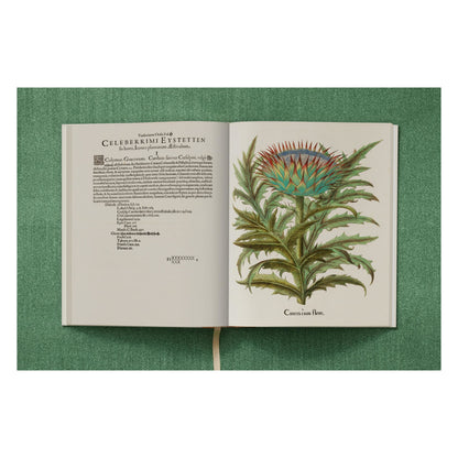 Basilius Besler. The Garden at Eichstätt (German, French, English) (FFE)