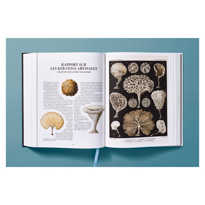 The Art and Science of Ernst Haeckel (German, French, English)