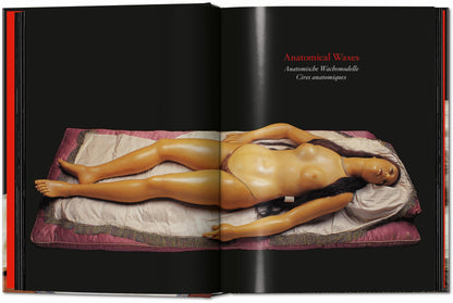 Anatomical Waxes. 45th Ed. (German, French, English)