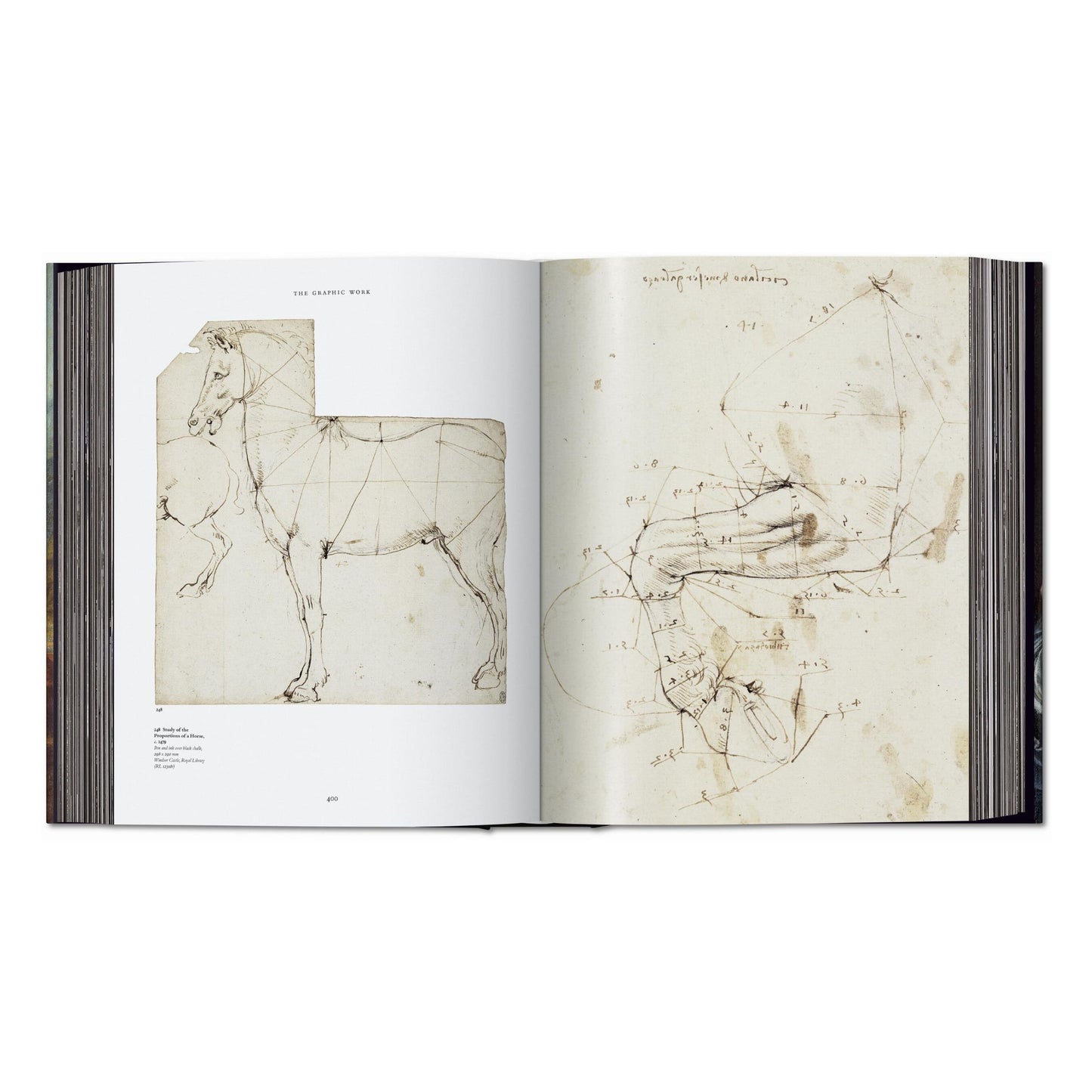 Leonardo. The Complete Paintings and Drawings (English)