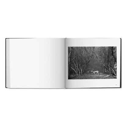 Sebastião Salgado. Kuwait. A Desert on Fire (German, French, English)
