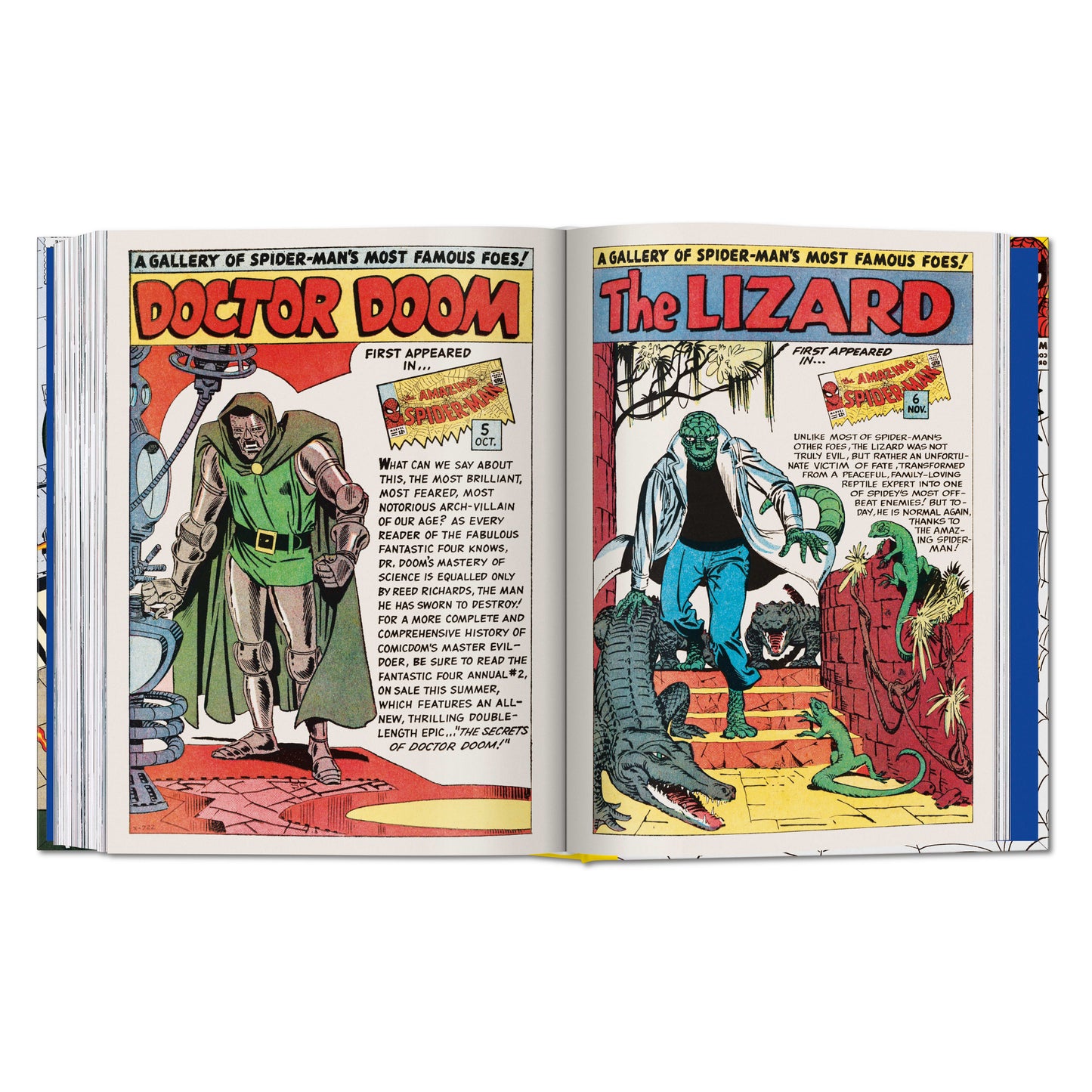 Marvel Comics Library. Spider-Man. 1962–1964 (English)